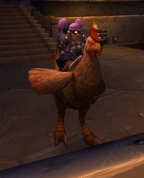 Magical rooster companion in world of warcraft